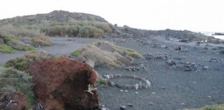 Descontrol de campistas extranjeros en el municipio de Valle Gran Rey