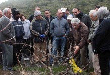 Cuarenta viticultores y bodegueros se forman en la poda de la vid con el Plan de Medianías