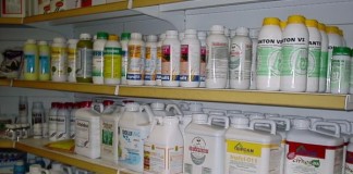 El Cabildo Insular organiza unos cursos para conseguir el título de manipulador de productos fitosanitarios