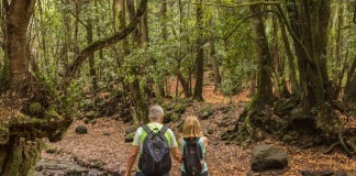 La Gomera se promociona como destino sostenible y de turismo activo en cuatro ferias previstas para noviembre