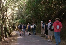 Quince especialistas evaluarán los daños del incendio en La Gomera este jueves