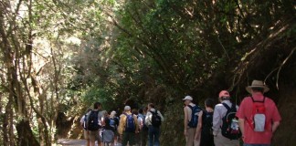 El Gobierno de Canarias limita el acceso a varios senderos del Garajonay por las altas temperaturas