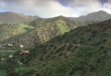 El PSOE de Valle Gran Rey con Ruymán García a la cabeza,ofrece la Alcaldía a Socialistas x La Gomera