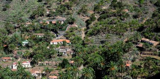 Tamargada celebra sus fiestas este próximo fin de semana