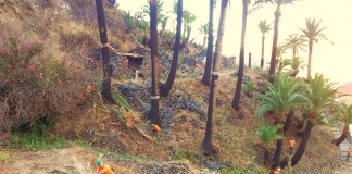 El Cabildo de La Gomera encarga a la empresa pública Gesplan la asistencia técnica a la unidad insular de medio ambiente