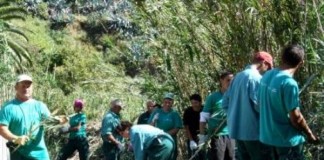 El Fondo Social Europeo destinará 191 millones a las Islas hasta el año 2020