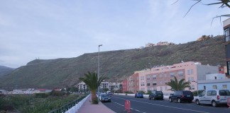 El Ayuntamiento de San Sebastián realizará labores de poda y limpieza de palmeras en la avenida Quinto Centenario