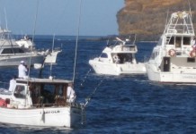 La Gomera ultima los preparativos para la XI Edición del Campeonato de Pesca de Altura