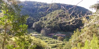 La Gomera: un ejemplo de la España vacíada