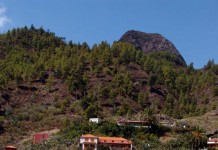 «la Caixa» stellt 100.000 Euros zur Wiederaufforstung von La Gomera zur Verfügung