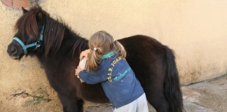 El Centro Médico Gomera La Villa en coordinación con la Cuadra La Rienda impulsan un proyecto de educación afectivo-sensorial