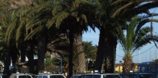 El Cabildo y taxistas acuerdan la regulación del área sensible del Puerto de San Sebastián de La Gomera