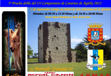 Udacan organiza en San Sebastián de La Gomera la tercera prueba doble del Campeonato de Canarias de ‘Agility’