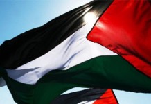 La ONU aprueba la integración de Palestina como país observador