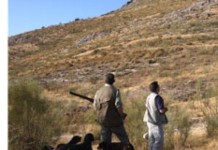 El Cabildo de La Gomera y las sociedades de cazadores celebran los campeonatos locales de caza menor con perro