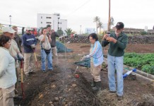 Mercadillo de Chipude este domingo a partir de las diez de la mañana