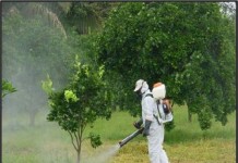 El Cabildo insular oferta cursos de manipulador de productos fitosanitarios de nivel básico y cualificado