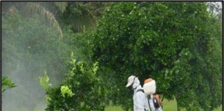 Valle Gran Rey acoge el segundo curso para la obtención del carné de uso profesional de productos fitosanitarios