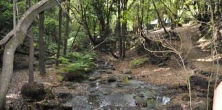 El Ayuntamiento de Hermigua une senderismo y fotografía