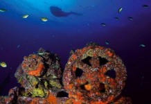 Ocho destacados fotógrafos submarinos exponen en la Casa Colón de La Gomera