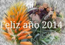 El PSOE en VGR exige al Ayuntamiento que frene la imagen de pueblo necesitado de camiones de alimentos