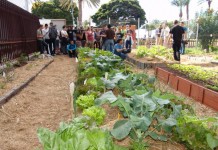 San Sebastián acoge un curso gratuito sobre control de plagas en agricultura ecológica
