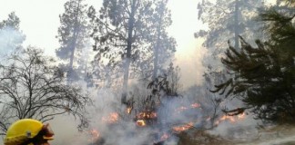 El Cabildo de La Gomera pide evitar el tránsito en zonas de monte ante la alerta por riesgo de incendios