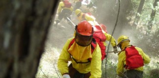 El Gobierno de Canarias declara la alerta por riesgo de incendios forestales