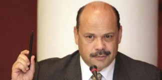 El Gobierno de Canarias impulsa la revisión de la legislación sobre protección de animales