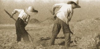 El Centro Coreográfico de La Gomera presenta este viernes ‘Labranza’