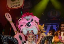 Nueva composición de la Junta Directiva de A.M.P.A del colegio C.E.O. Nereida Díaz Abreu