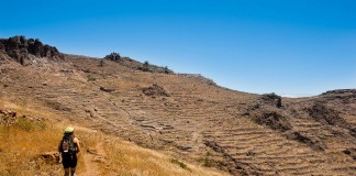 Alrededor de ciento cincuenta personas mantendrán la red de senderos de La Gomera este año