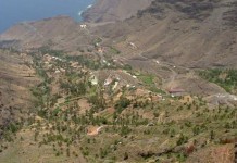 Los Verdes de Valle Gran Rey condena el acto de incendio intencionado