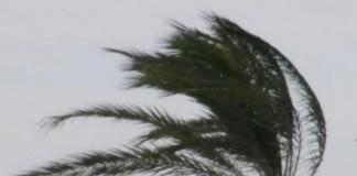 Intervalos nubosos y posibilidad de rachas fuertes de viento