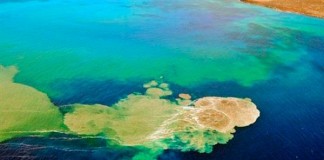 Terremoto de magnitud 3,6 en la zona del volcán submarino Tagoro en El Hierro