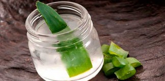ASG pide proteger la industria local para que Canarias sea referente mundial en Aloe Vera
