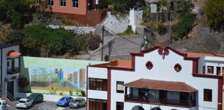 NC-ADGomera critica la “poda salvaje” del árbol centenario de la Plaza de La Encarnación