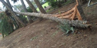 El mal tiempo obliga de nuevo a cerrar el parque de La Torre del Conde hasta que mejoren las condiciones atmosféricas