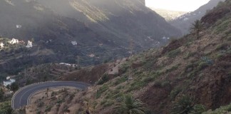 Sí se puede denuncia el mal estado del palmeral de Guadá debido a la sequía