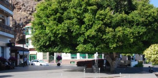 La Feria Local de Comercio en Playa de Santiago es el próximo sábado