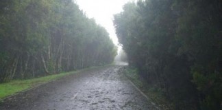 El Cabildo de La Gomera pide precaución ante los fuertes vientos