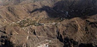 Herido un joven al caer desde una palmera en Alojera