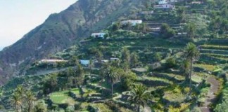 LOS BANCALES DEL MUNDO TIENEN UNA CITA EN LA GOMERA