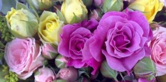 Vallehermoso celebra este marzo ‘El mes de las flores’