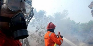 El Cabildo Insular organiza cursos de formación y capacitación para la lucha contra incendios