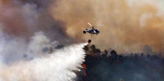 El incendio forestal de La Palma avanza por zona de monte