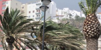 El Gobierno de Canarias declara la situación de Alerta por Viento en Islas Occidentales y Gran Canaria