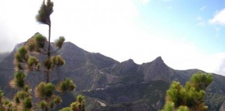 El Cabildo de La Gomera pide precaución ante la declaración de alerta máxima por incendios forestales