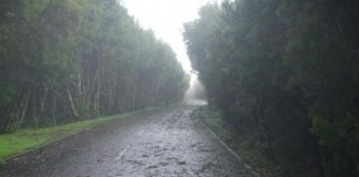 Vientos de hasta 60 kilómetros por hora en Canarias este viernes