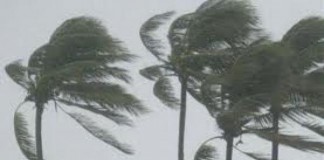 Vientos fuertes y lluvias débiles este domingo en Canarias además de fenómenos costeros